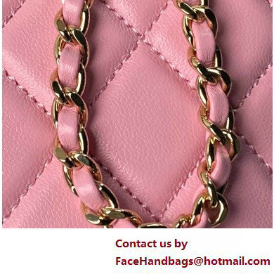 Chanel Lambskin  &  Gold-Tone Metal Clutch with Chain Bag AP4000 Pink 2025